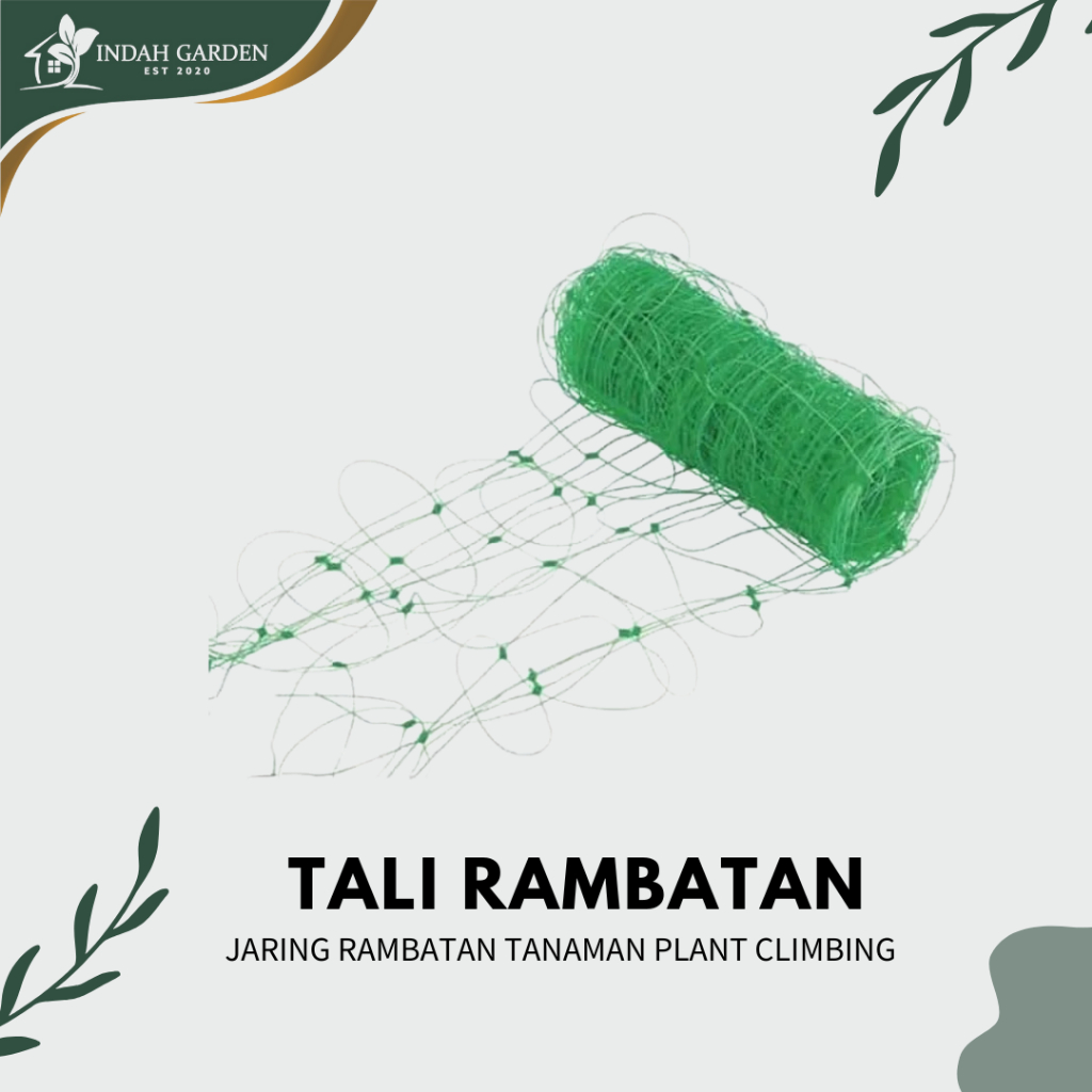Jual Tali rambatan / jaring Rambatan Tanaman Plant Climbing | Shopee ...