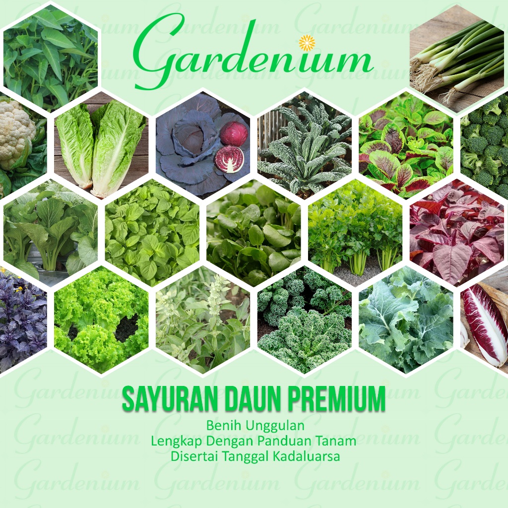 GARDENIUM Macam Macam Benih Sayuran Daun Premium