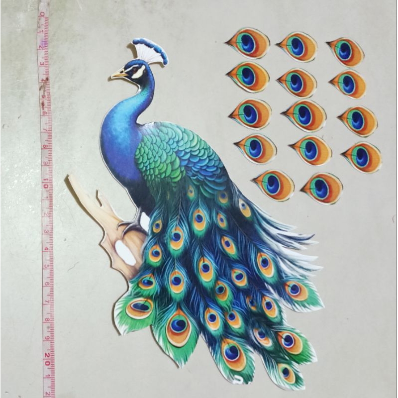 Jual Topper Burung Merak gambar burung merak | Shopee Indonesia