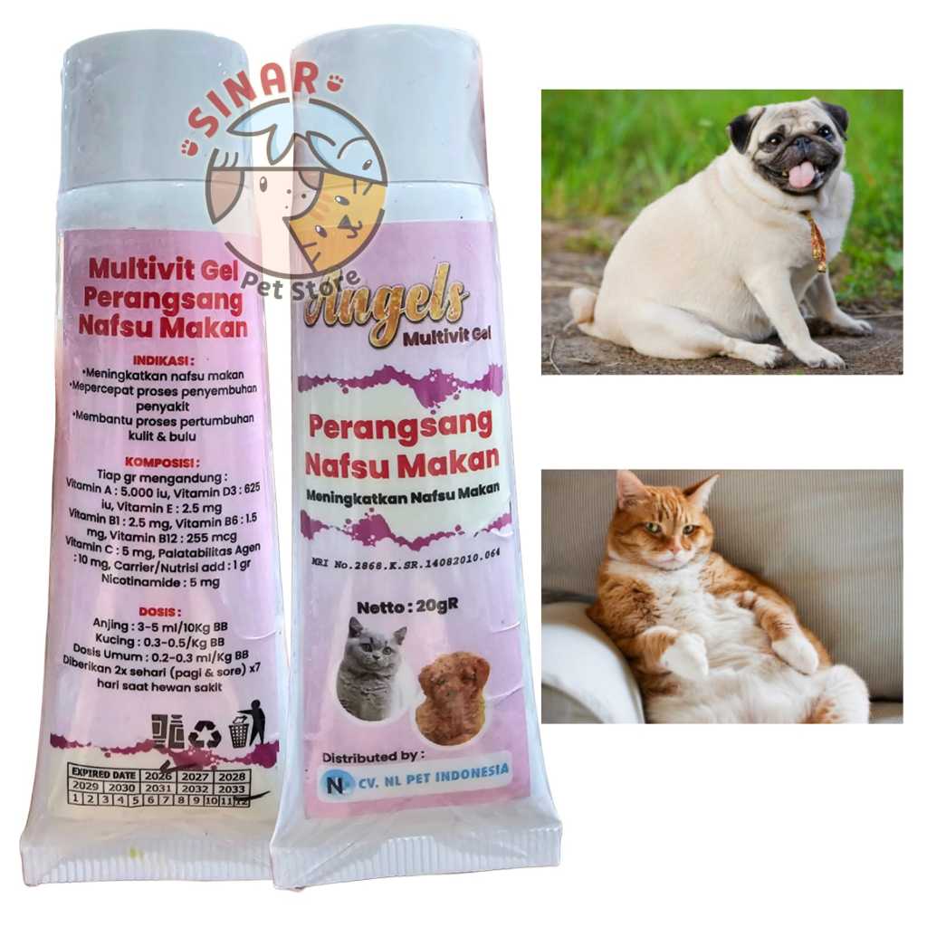 Jual Angels Mulitivitamin Gel 20GR - Penambah Nafsu Makan - Penggemuk ...