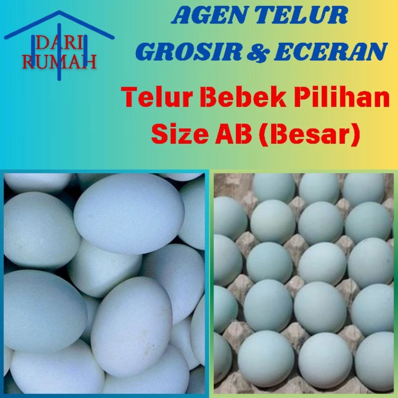 TELUR BEBEK