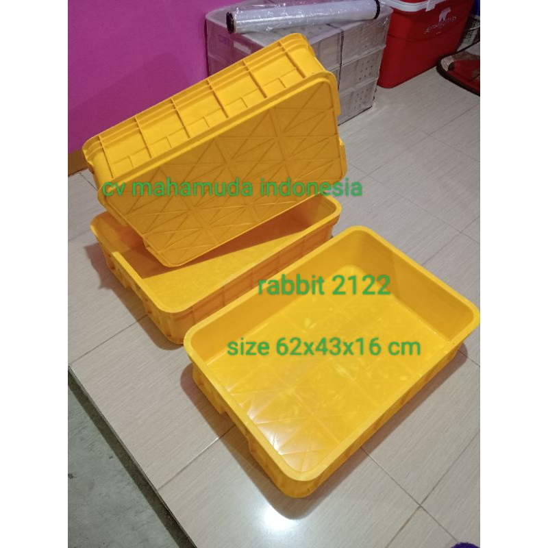 Jual box container rabbit 2022 size 62x43x16.cm bekas ready 2 warna ...