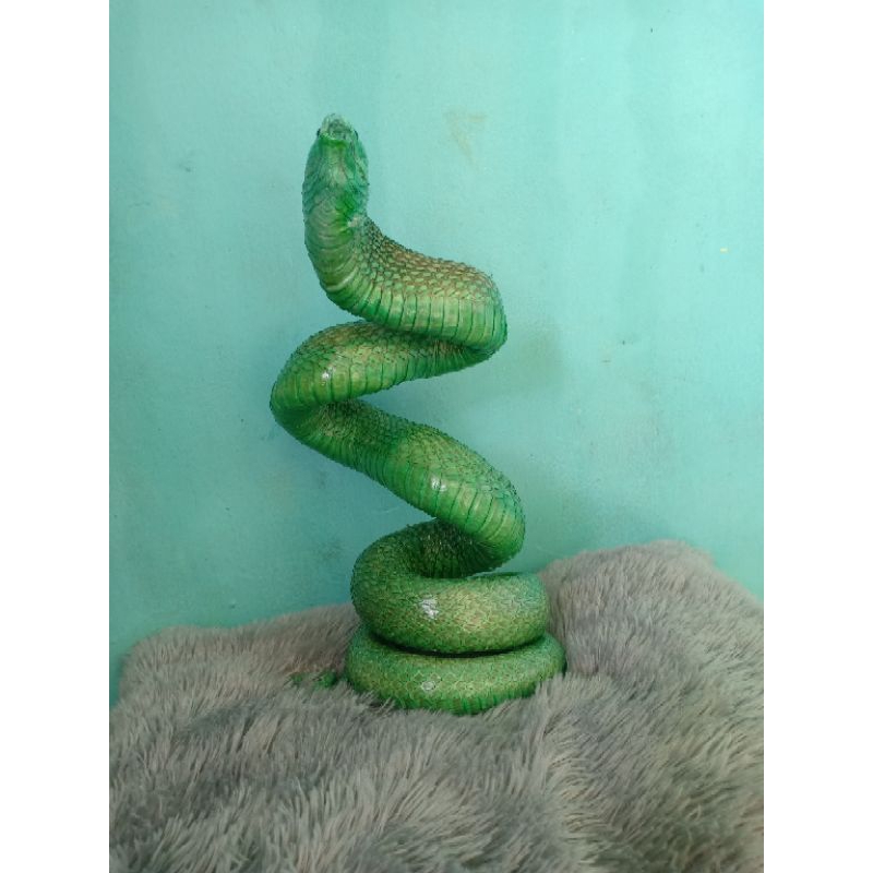 Jual opsetan uler pucuk/hijau | Shopee Indonesia