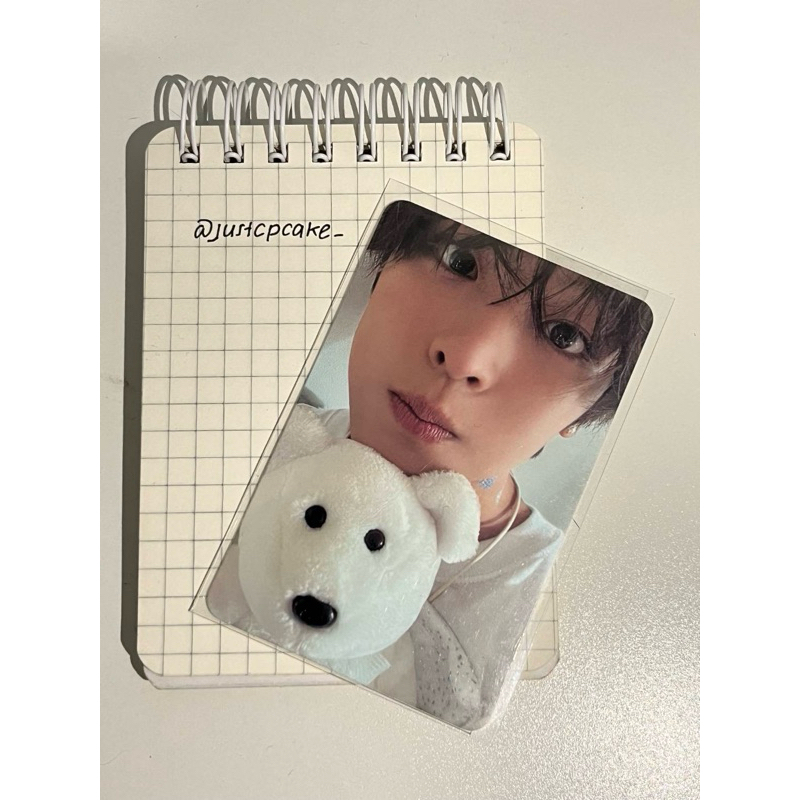 Jual Photocard RIKU NCT WISH Steady Finding Psyche ver | Shopee Indonesia