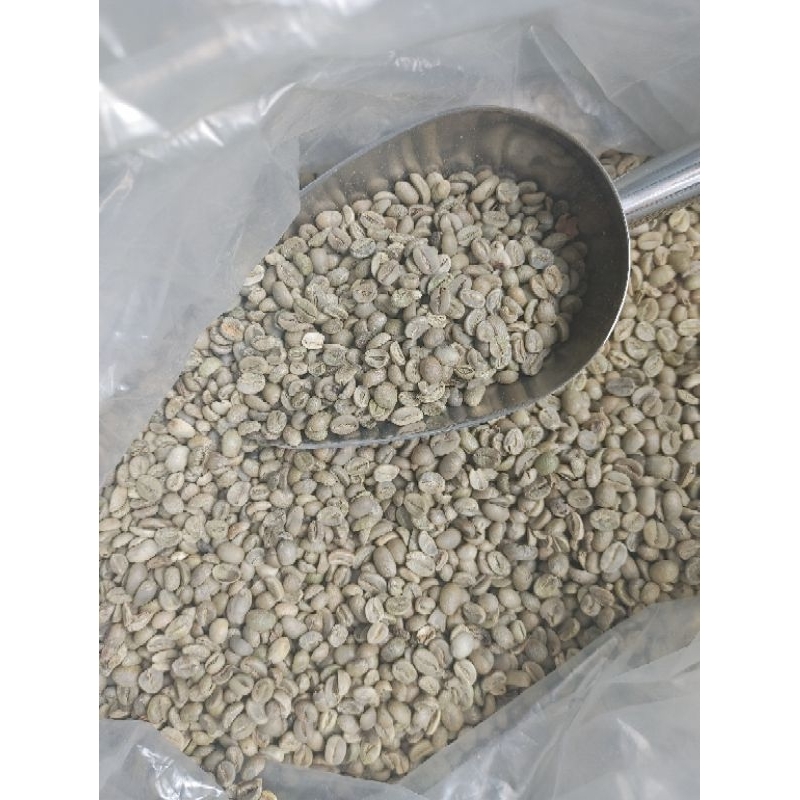 Jual KOPI ARABIKA TIMOR LESTE PETIK MERAH 1KG SORTIR | Shopee Indonesia
