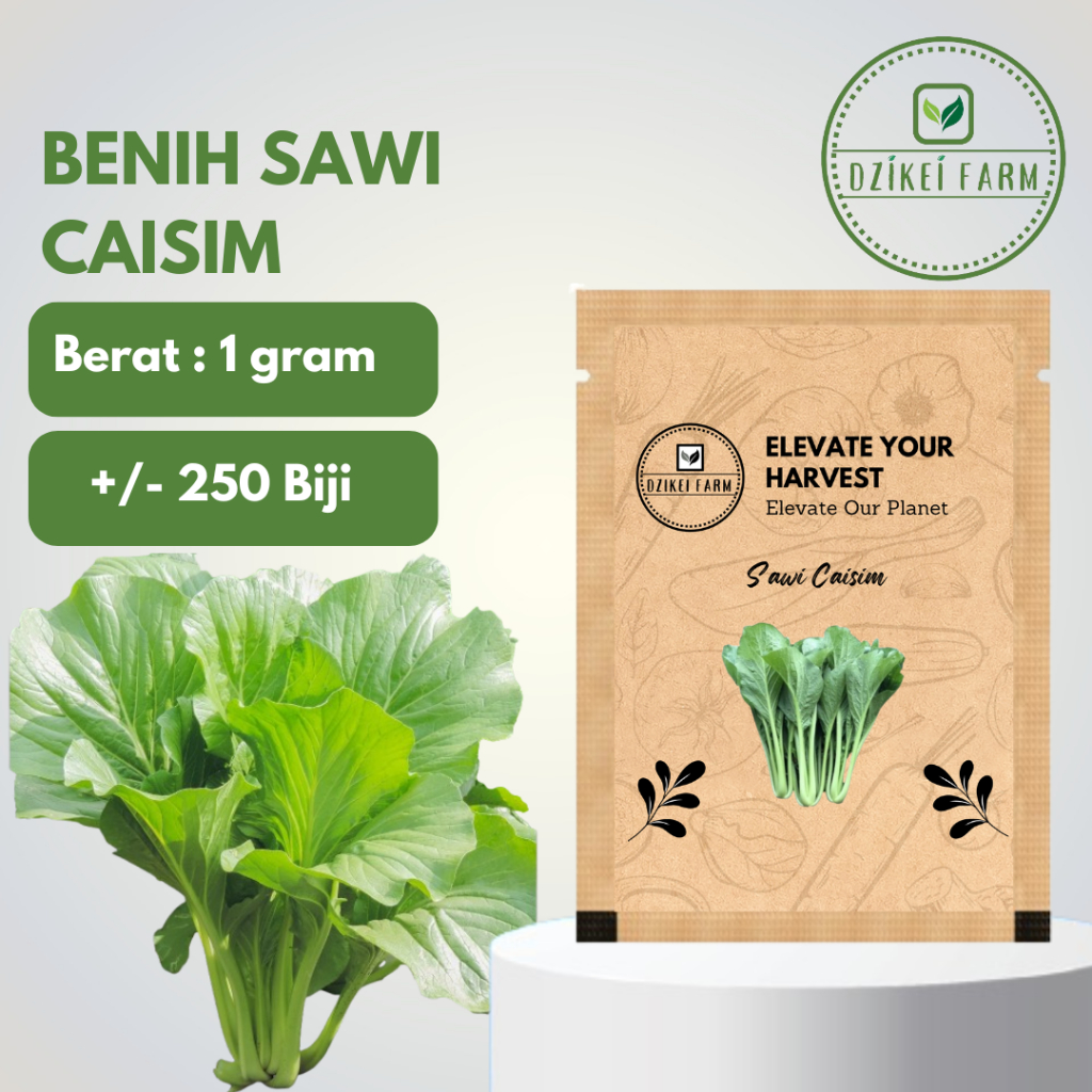 Benih Seribuan Bibit Sayuran Sawi Caisim +/- 250 Biji Bisa Untuk Hidroponik