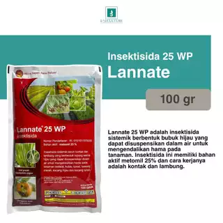 Erim bilan uy qurilishi tasmali jinsiy aloqa Yoshlar va jinsiy aloqa video