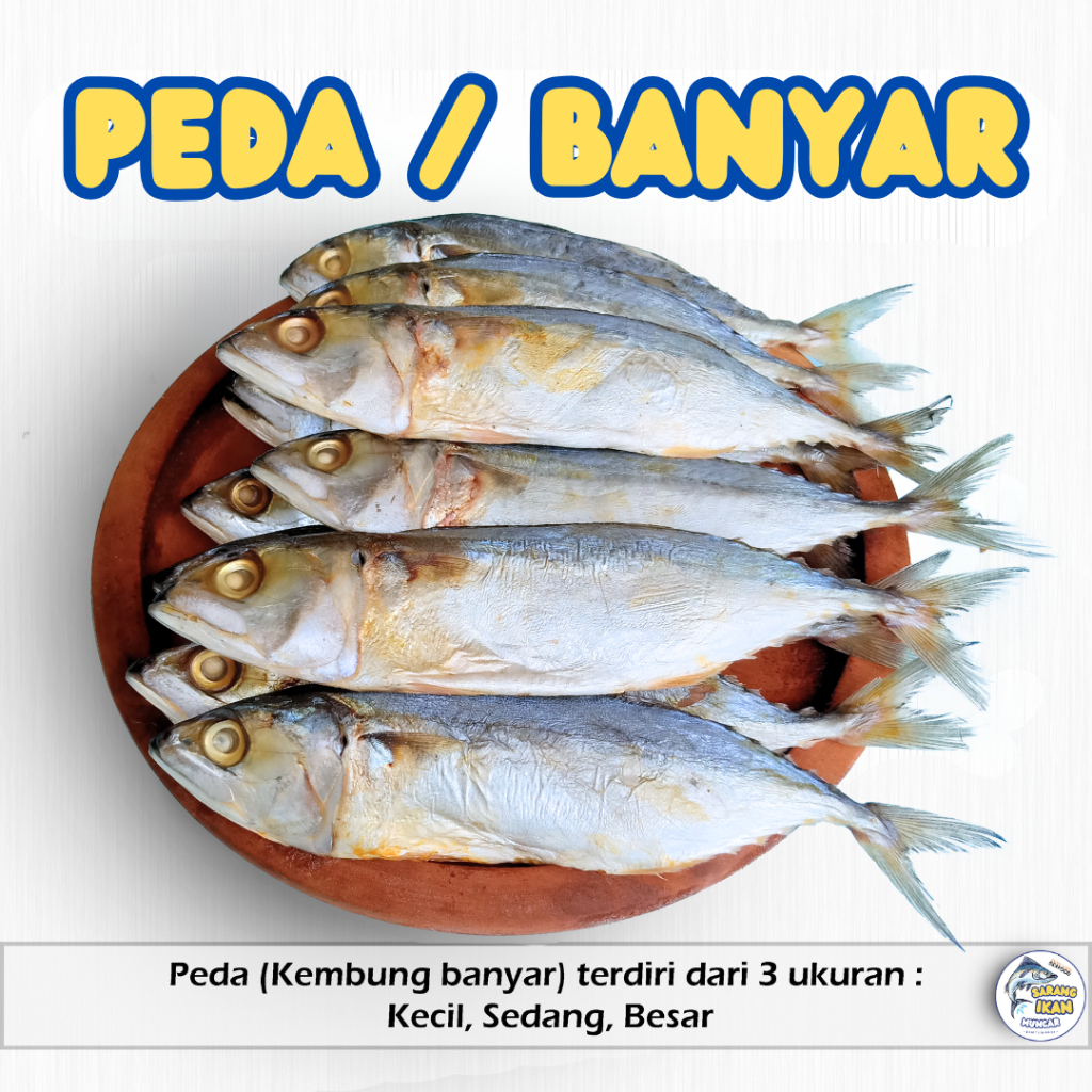 Jual PEDA KERING ASIN / KEMBUNG BANYAR ASIN PREMIUM TERMURAH 100/250 ...