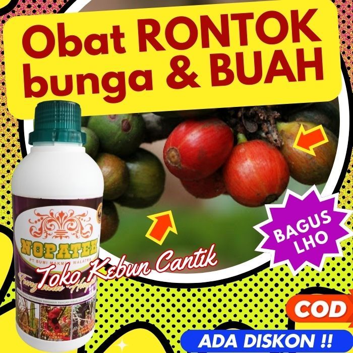 Jual NOPATEK 500ML Fungisida Hayati untuk Mengatasi Rontok Bunga & Buah ...