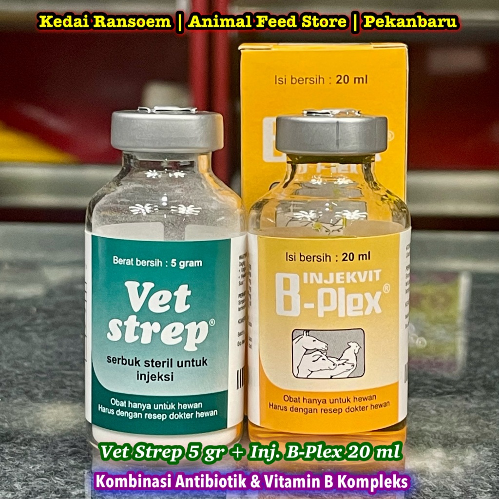 Jual Vet Strep 5 gr + Injekvit B-Plex 20 ml | Kombinasi obat dan ...
