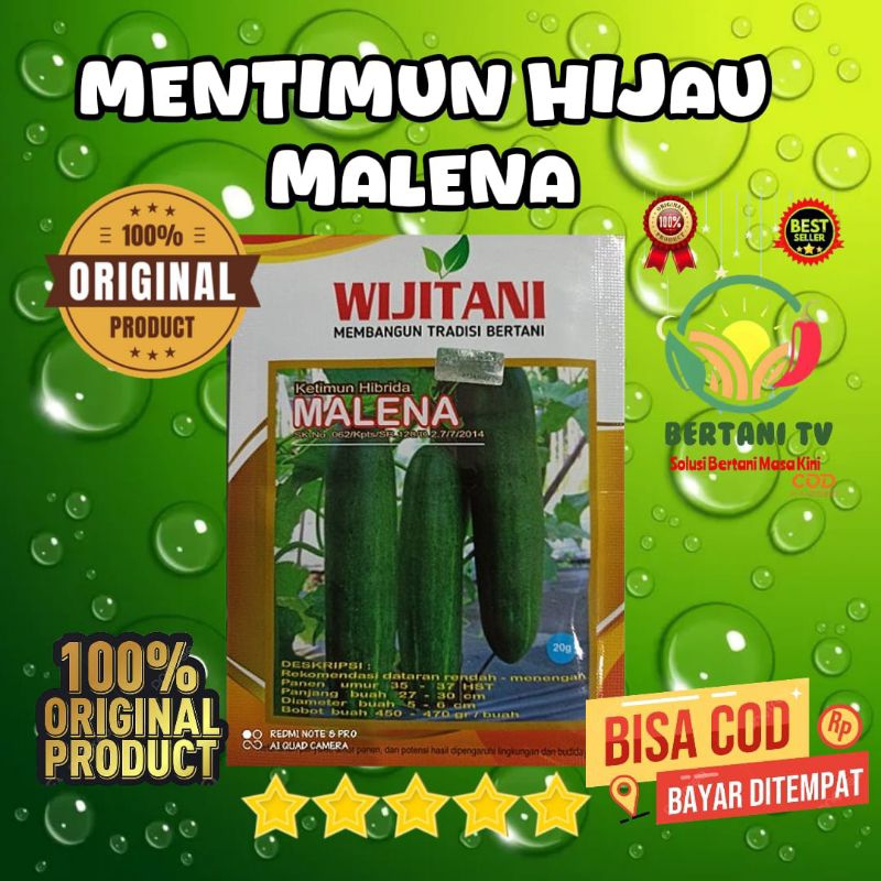 Jual Ketimun Hibrida Malena 20 gr, varietas timun hibrida tipe besar ...