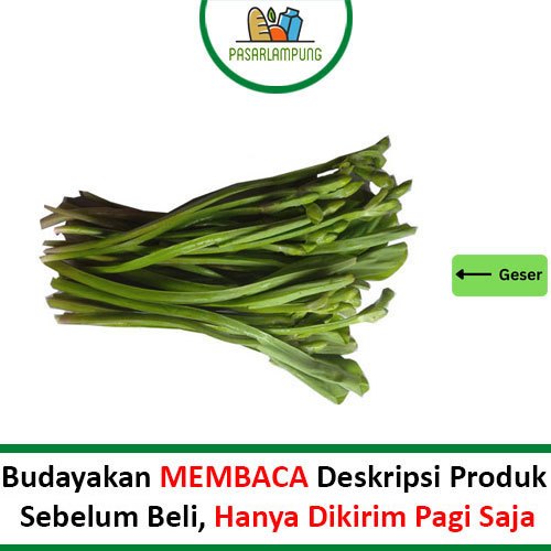 Jual Genjer Segar Per Ikat Pasar Lampung | Shopee Indonesia