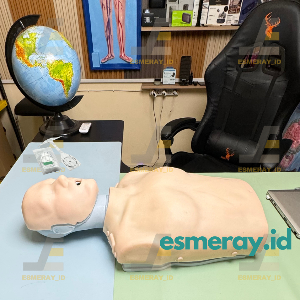Jual []N0N PRESTAN] Manikin CPR/Phantom BHD/RJP-Alat Peraga Pendidikan ...