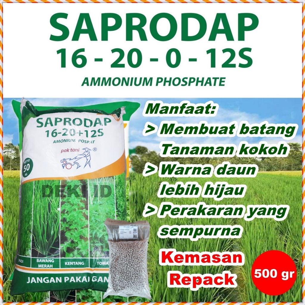 Saprodap 500 Gram Repack Pupuk Ammonium Pospat Pak Tani 16 20 0 12S Amonium Phosphate Fosfat