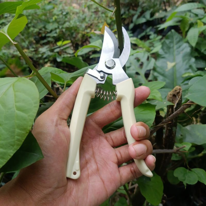 Jual gunting ranting dan dahan tanaman | Shopee Indonesia