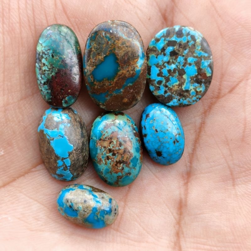 Jual NATURAL PIRUS PERSIA,PIRUS IRAN, | Shopee Indonesia