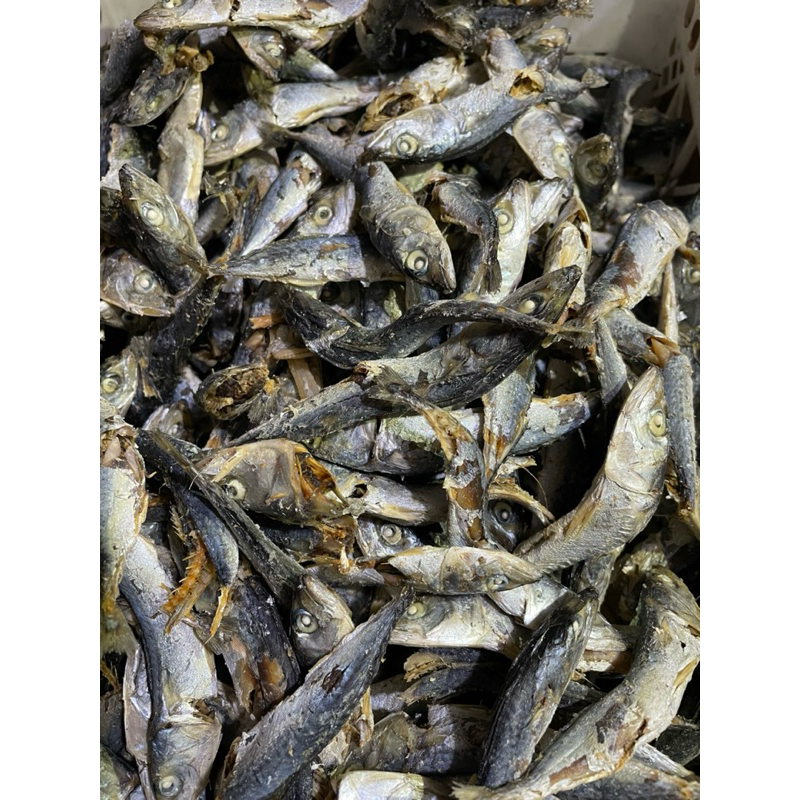 Jual IKAN ASIN JAPUH KECIL | Shopee Indonesia