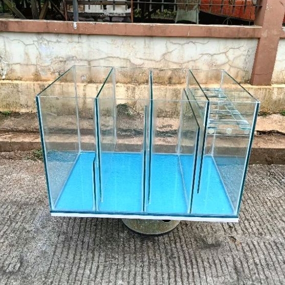 Jual sump filter 60x40x40 4 cember | Shopee Indonesia