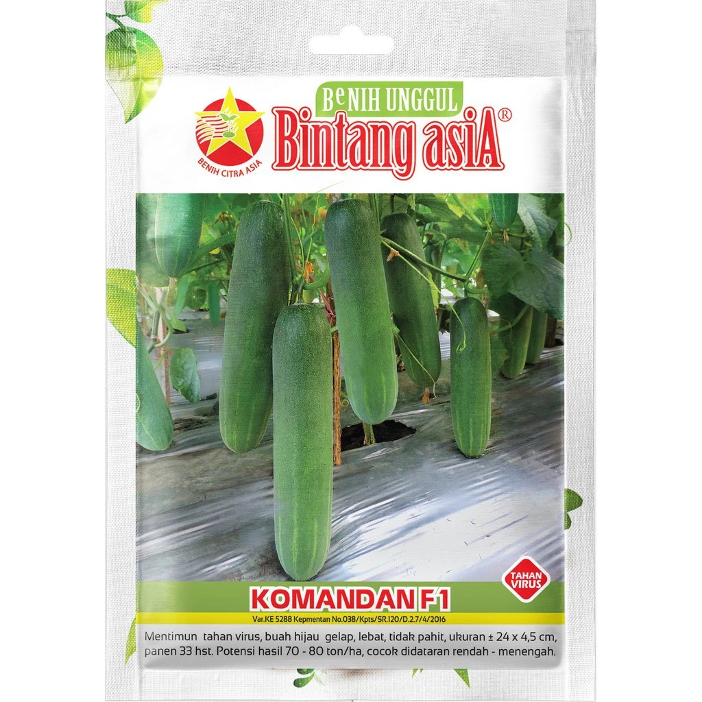 Jual Benih Timun KOMANDAN F1 2.5 Gram Cap Bintang Asia PT Benih Citra ...