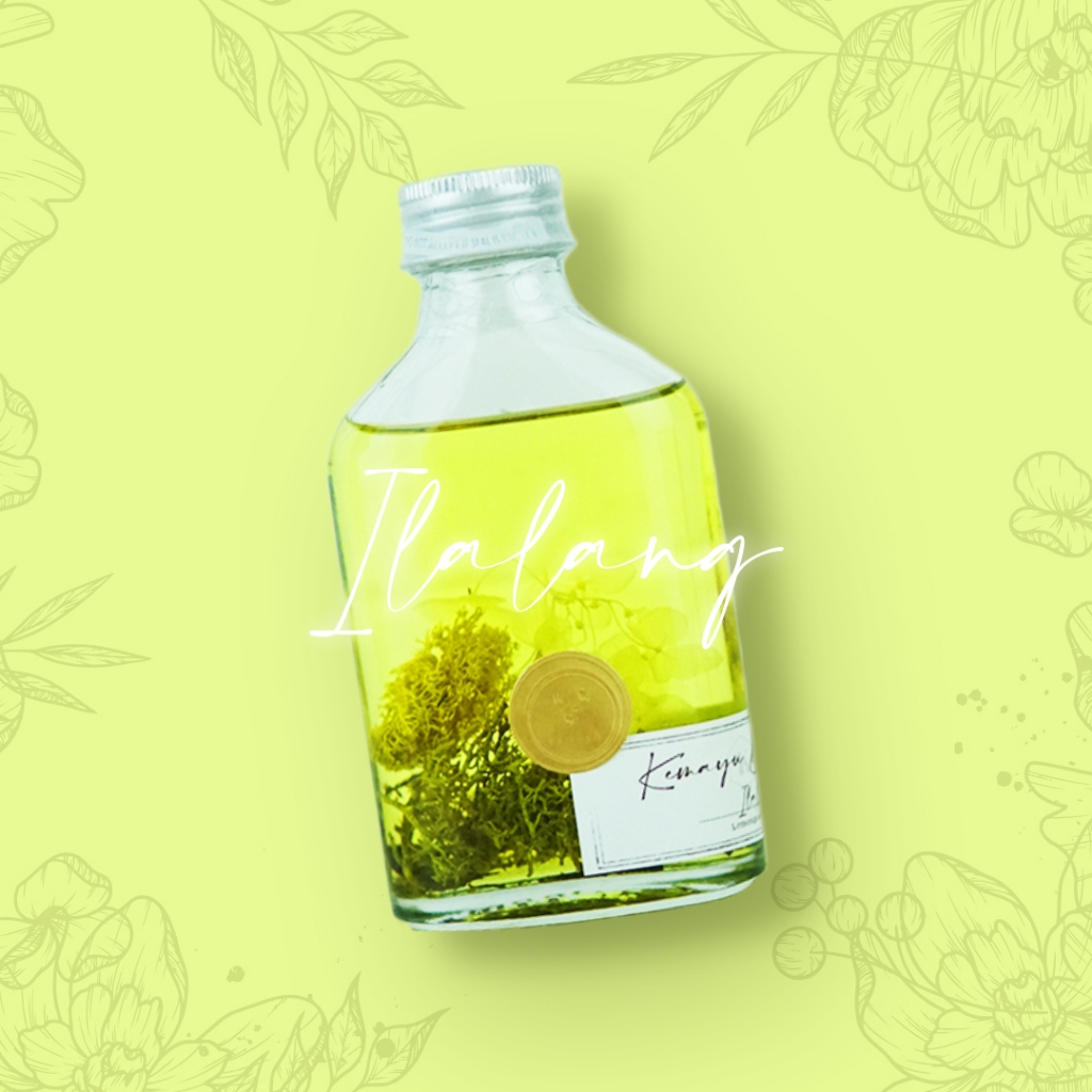 Jual Kemayu & Co - New Signature Reed Diffuser Ilalang 100ml ...