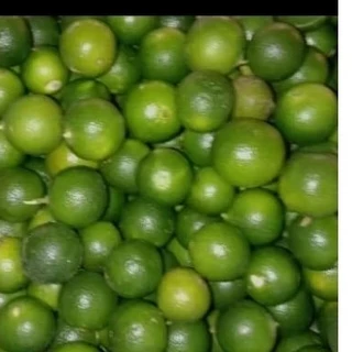 Rus yalangoch jojalari Porno modellarning keng ekranli fotosuratlari