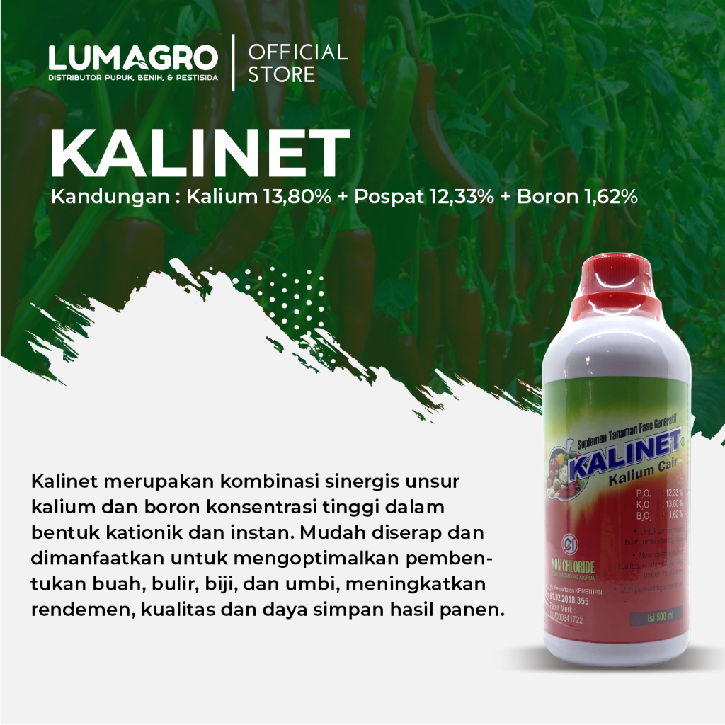 Jual Pupuk Kalinet 1 Liter Kalium Pospat Boron Meningkatkan Hasil Panen ...