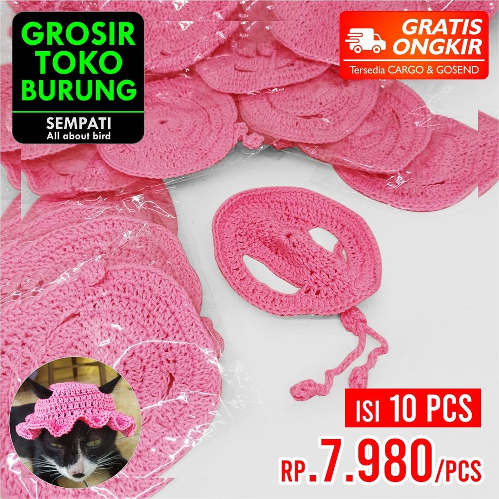 Jual SEMPATI GROSIR Topi Kucing Rajut Sempati Isi 10 Pcs Topi Bando ...