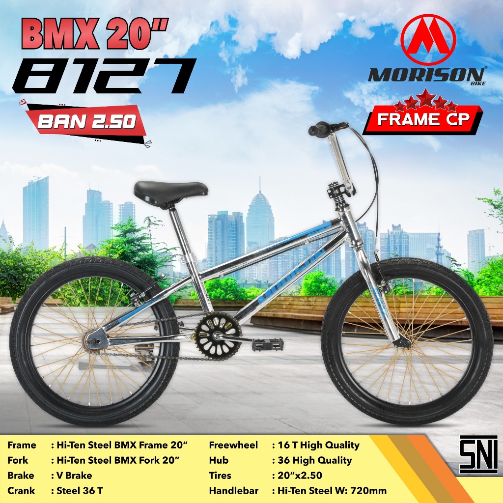 丸石BTR-20