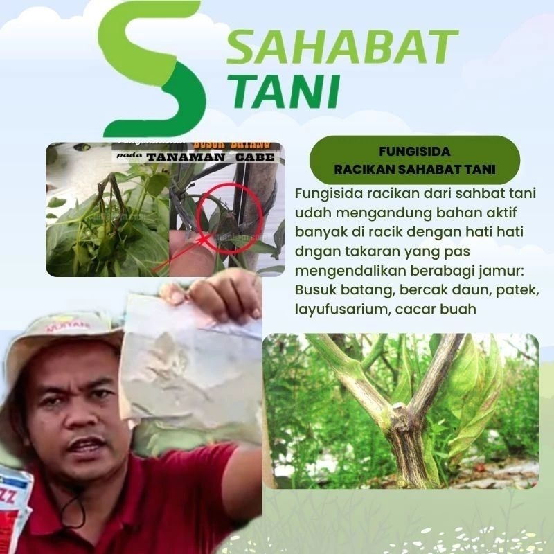 Jual fungisida racikan SAHABAT TANI 200 GRAM | Shopee Indonesia
