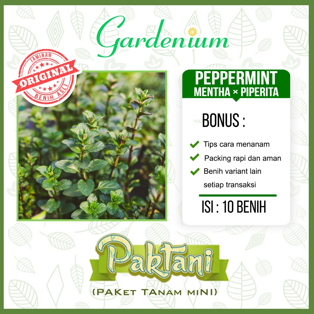 10 Benih Peppermint Tanaman Sayuran Herbal Paktani