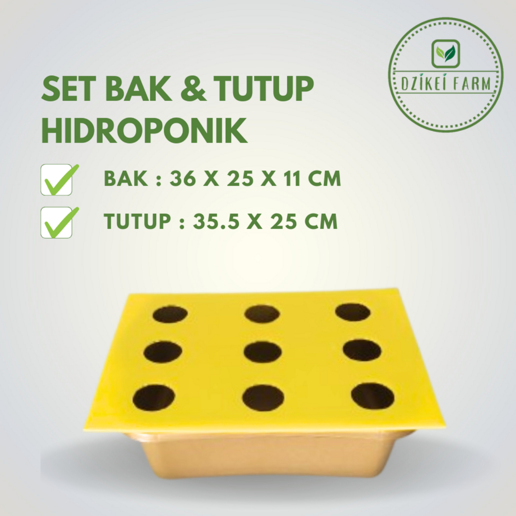 Paket Bak Hidroponik dan Tutup Impraboard 9 Lubang