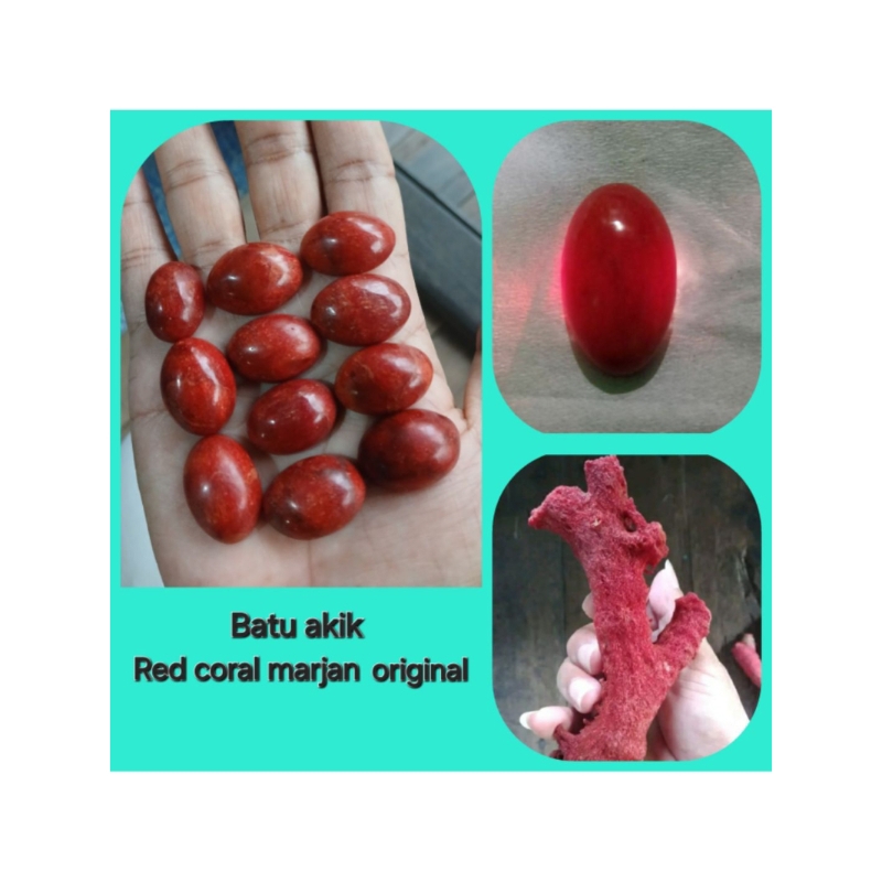 Jual Batu akik red coral marjan original size standar per 1 pcs ...