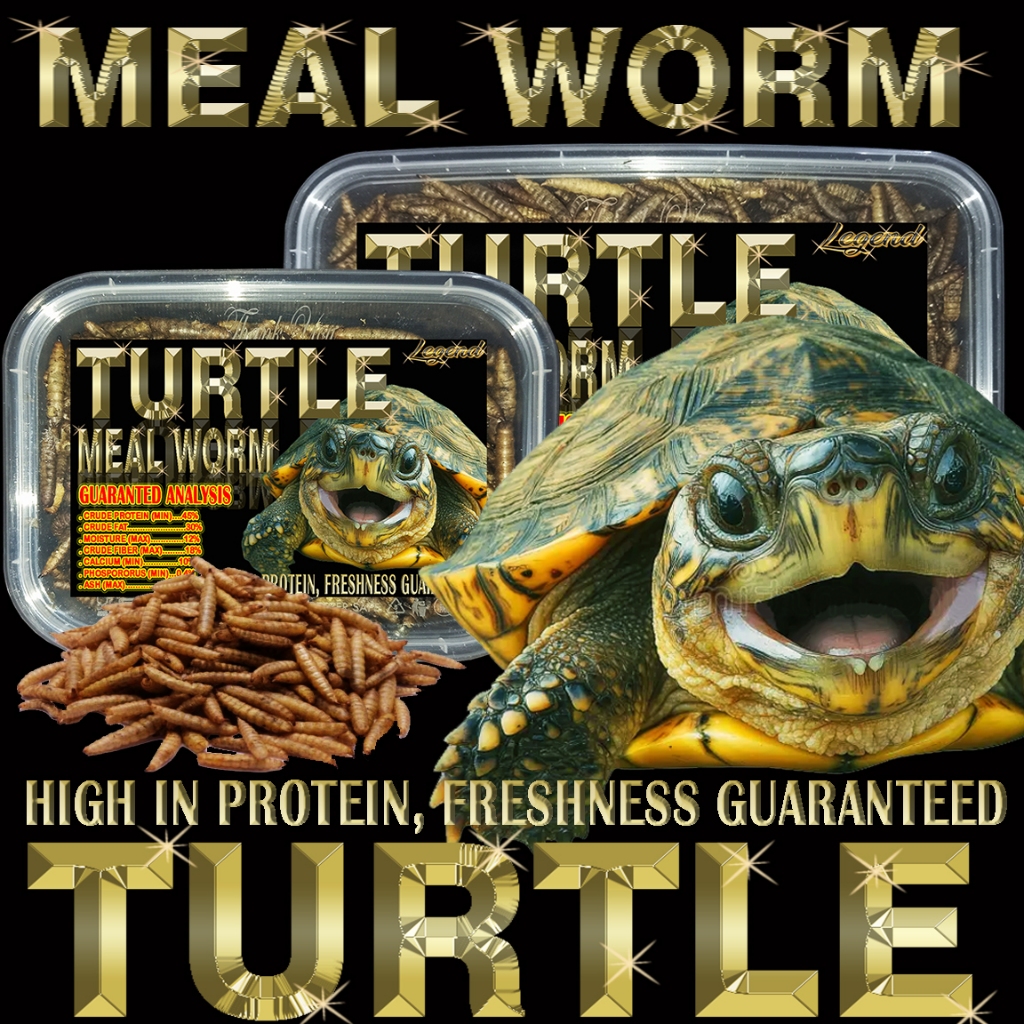 Jual 130GR TURTLE MEAL WORM MAKANAN KURA BRAZIL RES CST AST MONBI DAMER ...