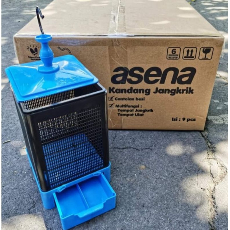 Jual ASENA TEMPAT JANGKRIK + ULAT | Shopee Indonesia