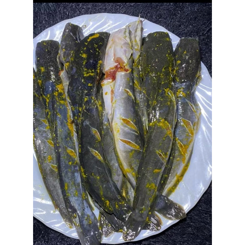 Jual Ikan Lele Bumbu Kuning Siap Goreng Dijamin Bersih Rasa Mantap 1 Kg ...