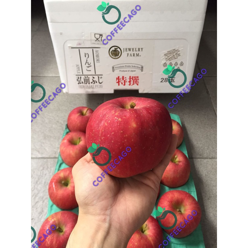 Jual Apel Fuji Hirosaki Japanese 1 Dus (10 KG) Fresh Import | Shopee ...