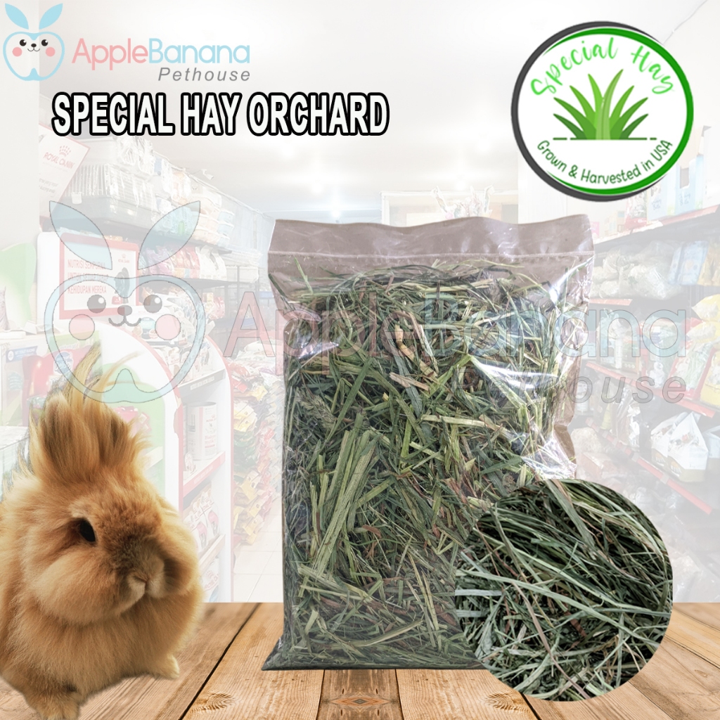 Jual Special Hay Orchard 100gr | Rumput Hay Makanan kelinci marmut ...