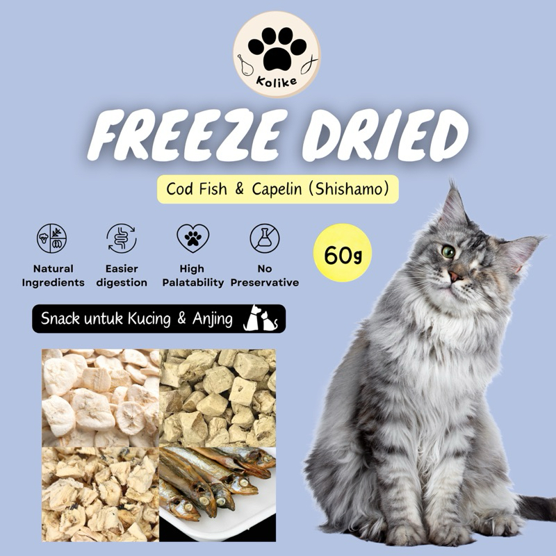 Jual KOLIKE Freeze Dried Cod Capelin Ikan Kod Shishamo Beku Kering ...