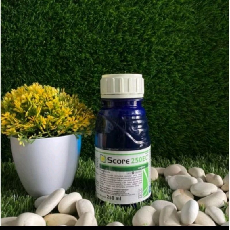 Jual score 250ml | Shopee Indonesia