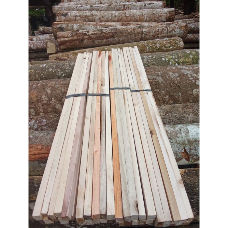Jual KAYU RENG RENG KAYU SORTIRAN 2X3CM PANJANG 100 PAKET 10BATANG ...