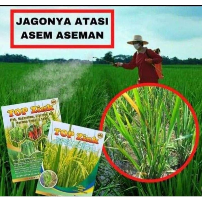 Jual Pupuk Terbaik Top zink Original kemasan 150 gram efektif atasi ...