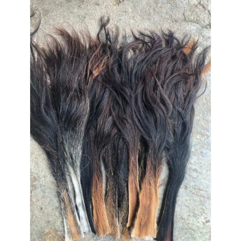 Jual EKOR/BUNTUT SAPI SUPER (rambut barongan) | Shopee Indonesia
