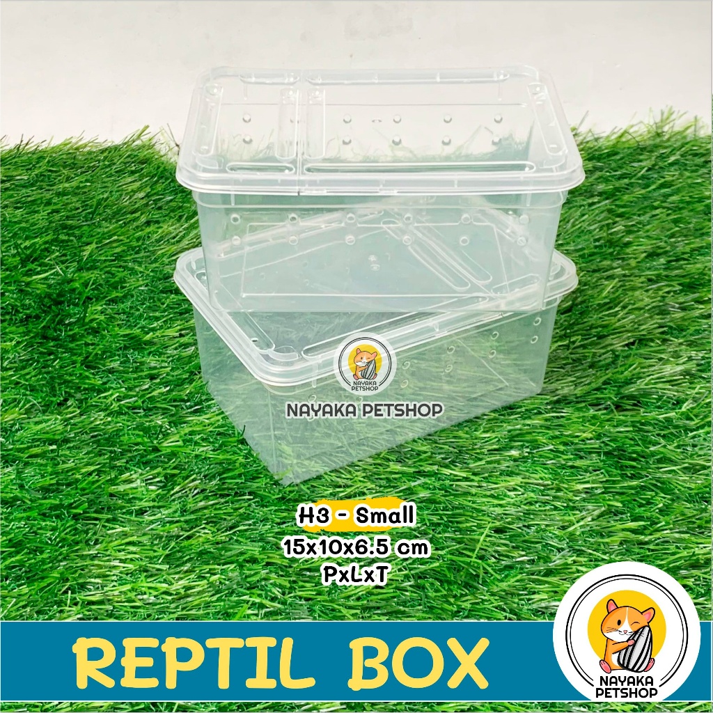 Jual Reptil Box H3 Small Kandang Kura Kura Brazil Sarang Hewan Wadah ...
