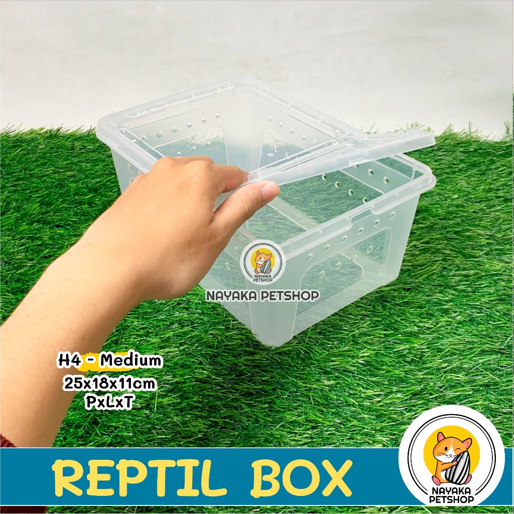 Jual Reptil Box H4 Large Kandang Kura Kura Brazil Sarang Hewan Wadah ...