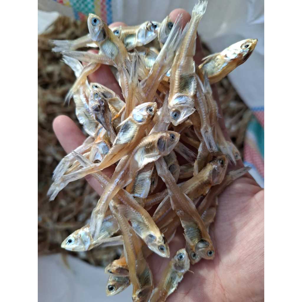 Jual ikan teri tawar kering/teri ceples tawar/teri bunga tawar 1 kg ...