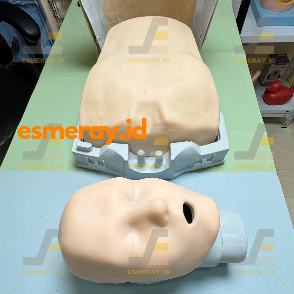 Jual []N0N PRESTAN] Manikin CPR/Phantom BHD/RJP-Alat Peraga Pendidikan ...