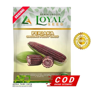 Jual Rumah Perjaka Terlengkap & Harga Terbaru Februari 2026 Shopee