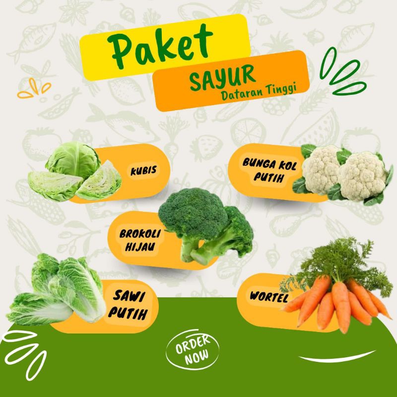 Paket Benih Sayur Dataran Tinggi - Brokoli Putih, Sawi Putih, Brokoli Hijau, Kubis Kol Hijau, Wortel