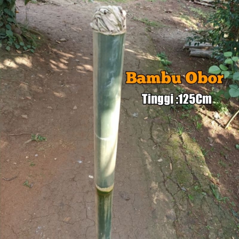 Jual Bambu Obor - Obor Bambu Tinggi 125Cm | Shopee Indonesia