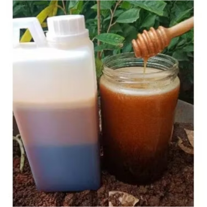 Jual madu asli hutan riau 1kg madu asli 100% Madu asli murni madu murah